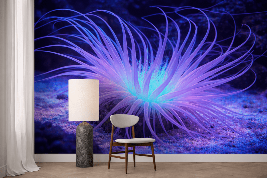 Glimmering Tentacles