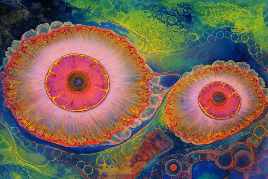 Vortex Bloom