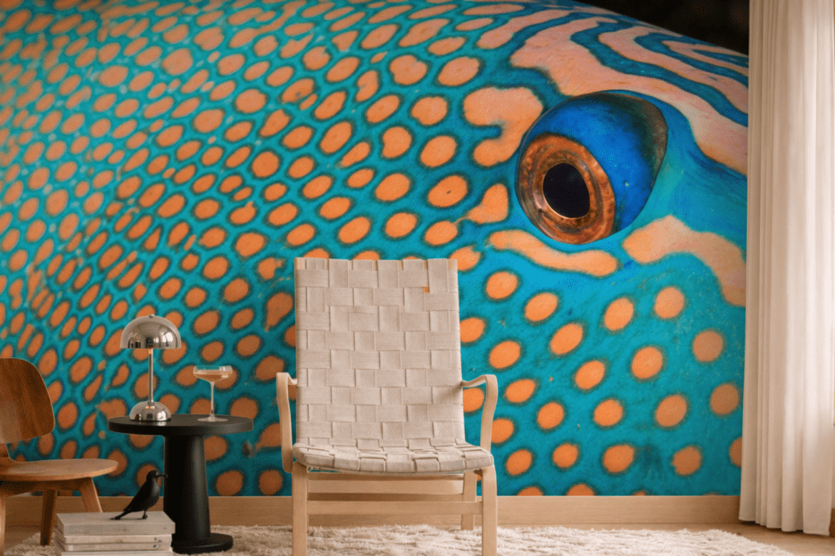 Coral Patterns