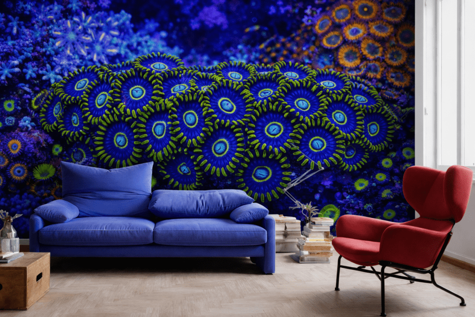 Cyclic Nautilus Veil