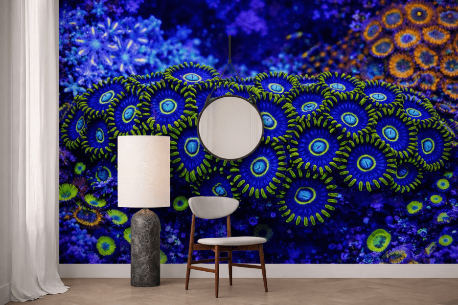 Cyclic Nautilus Veil