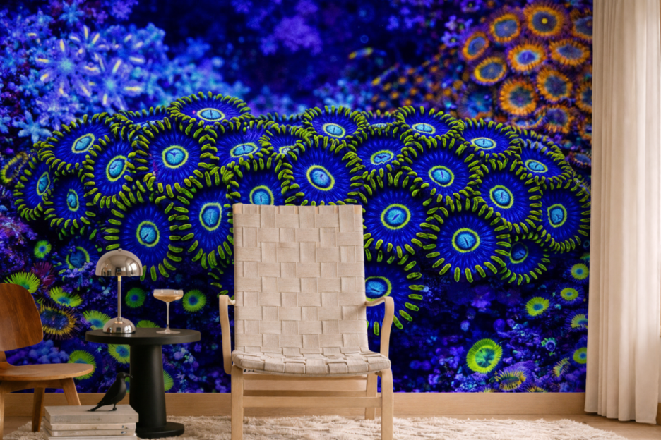 Cyclic Nautilus Veil