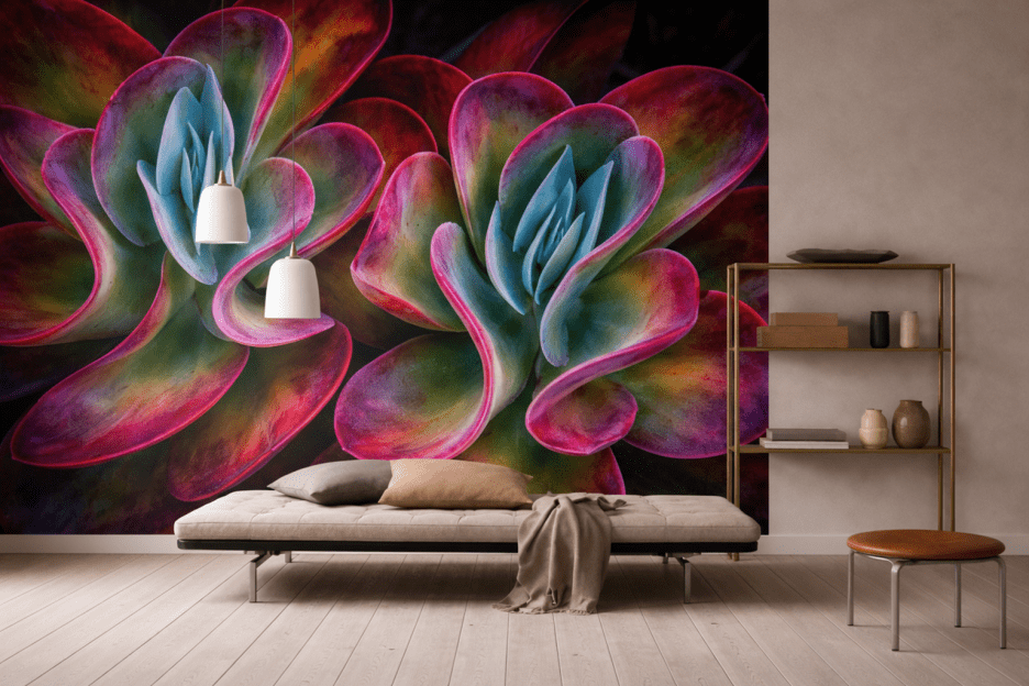 Vibrant Succulent Veil