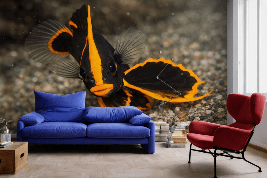 Striking Flare Mural