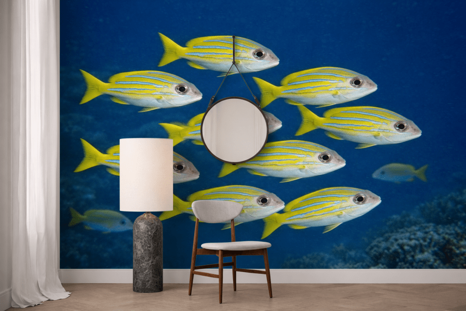 Tidal Schooling