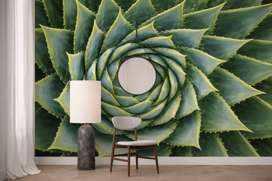 Spiral Cactus Mural