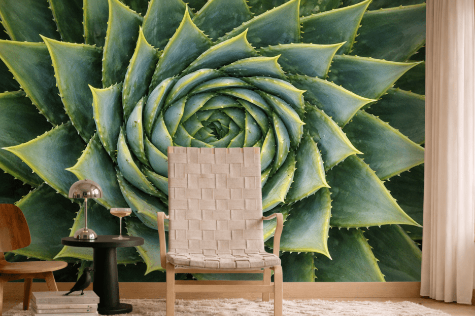 Spiral Cactus Mural