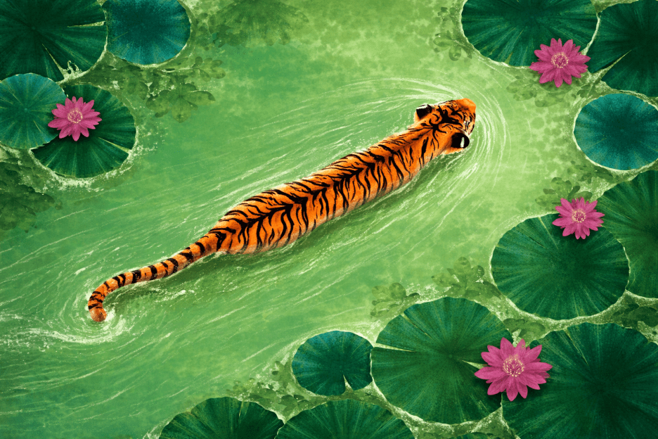 Jungle Reverberation