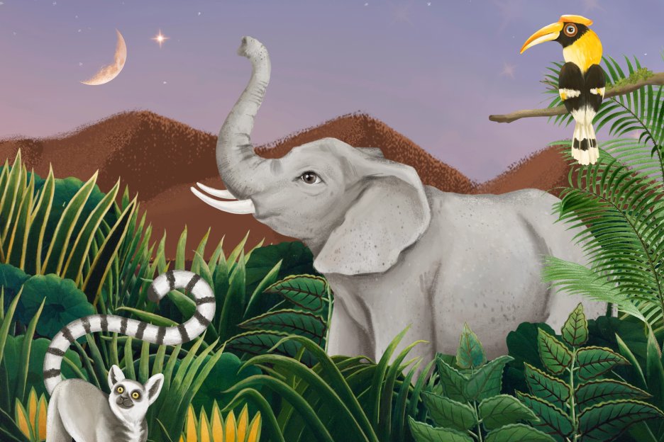 Jungle Reverie Ii