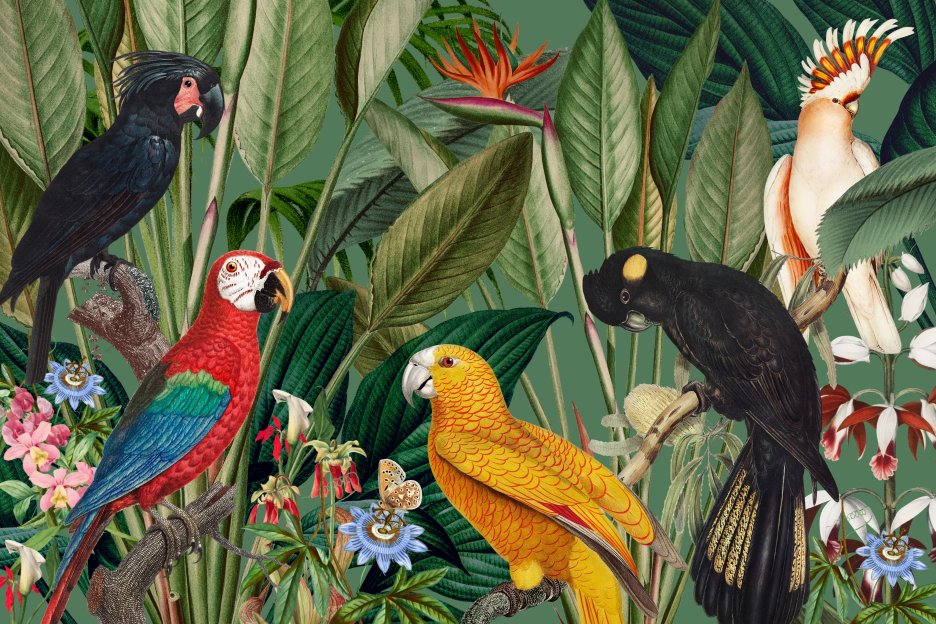 Exotic Feathered Canopy