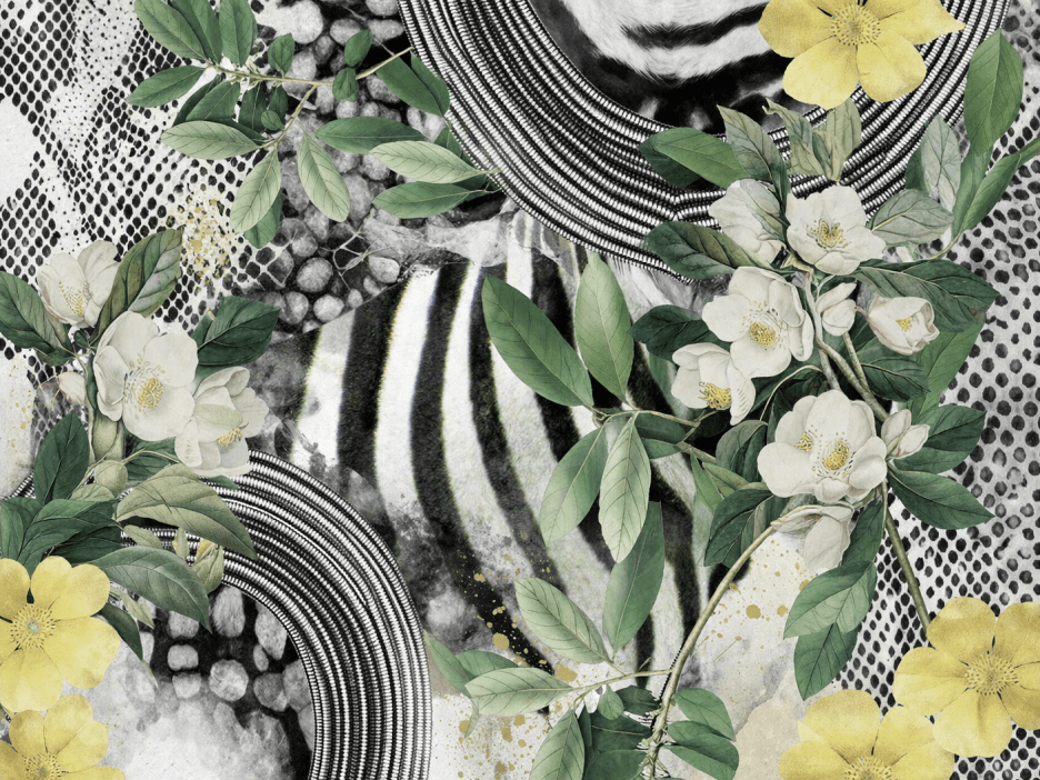 Zebra Whispers