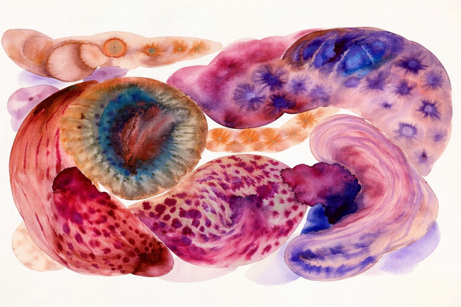 Curvilinear Tapestry