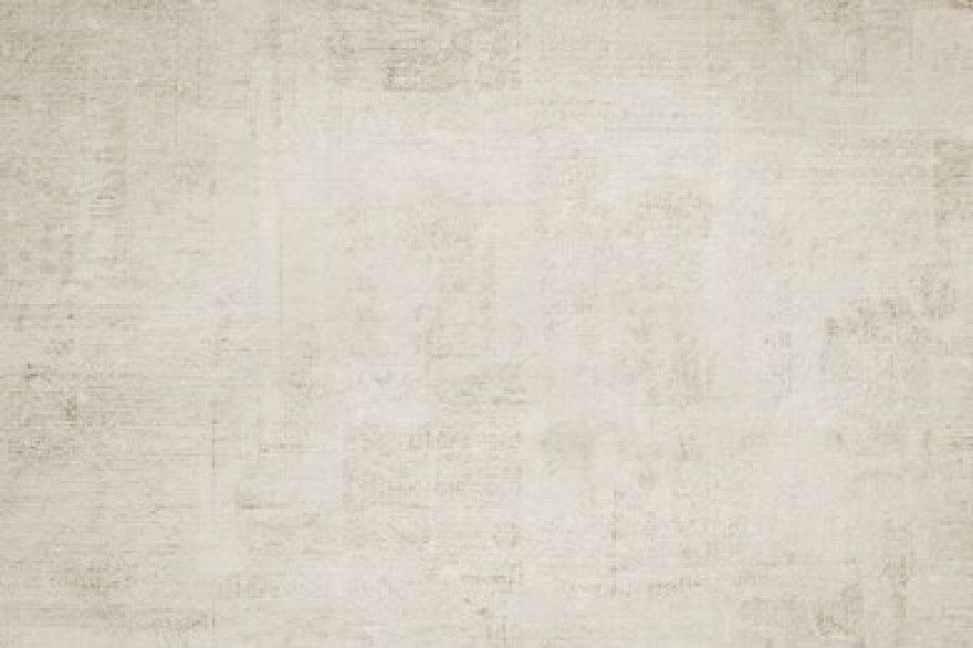 Silent Frost Canvas
