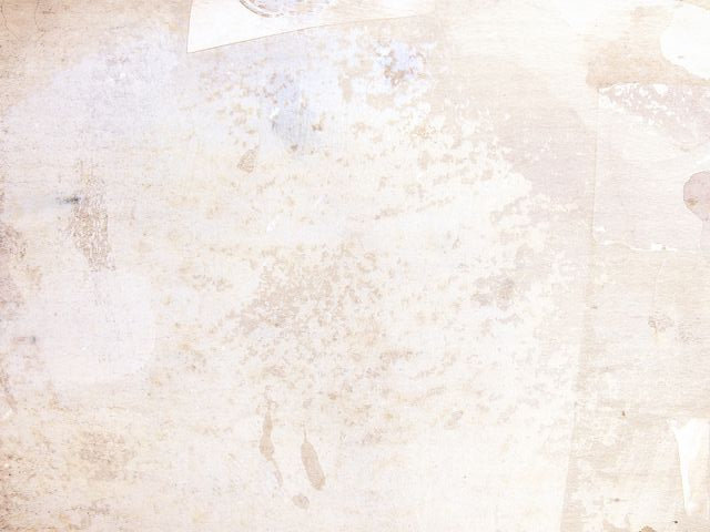 Luminous Veil