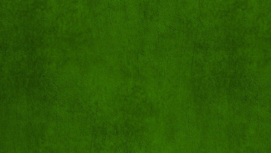 Velvet Verdure