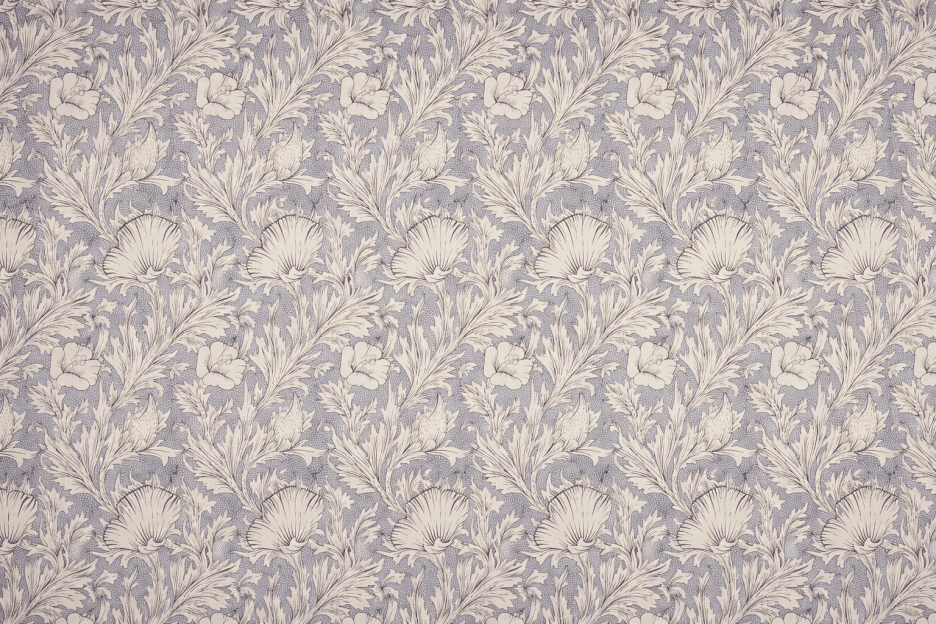 Shellflower Berceuse