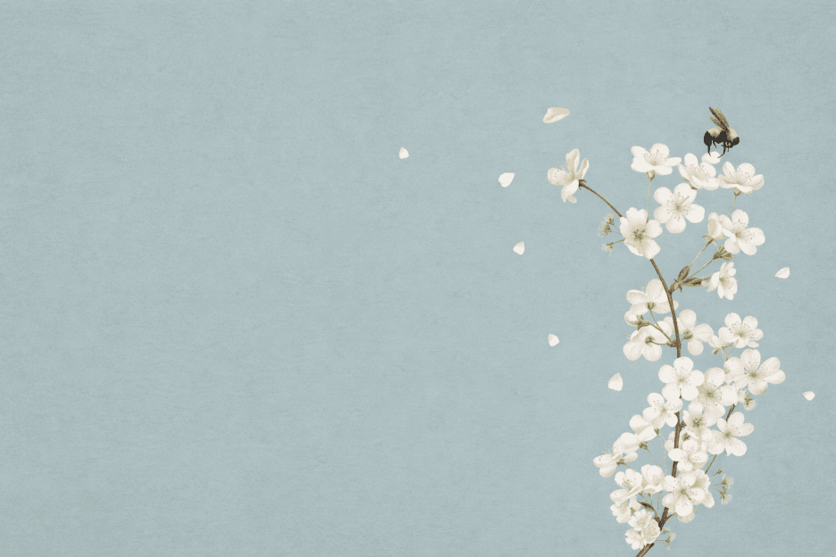 Blossom Veil