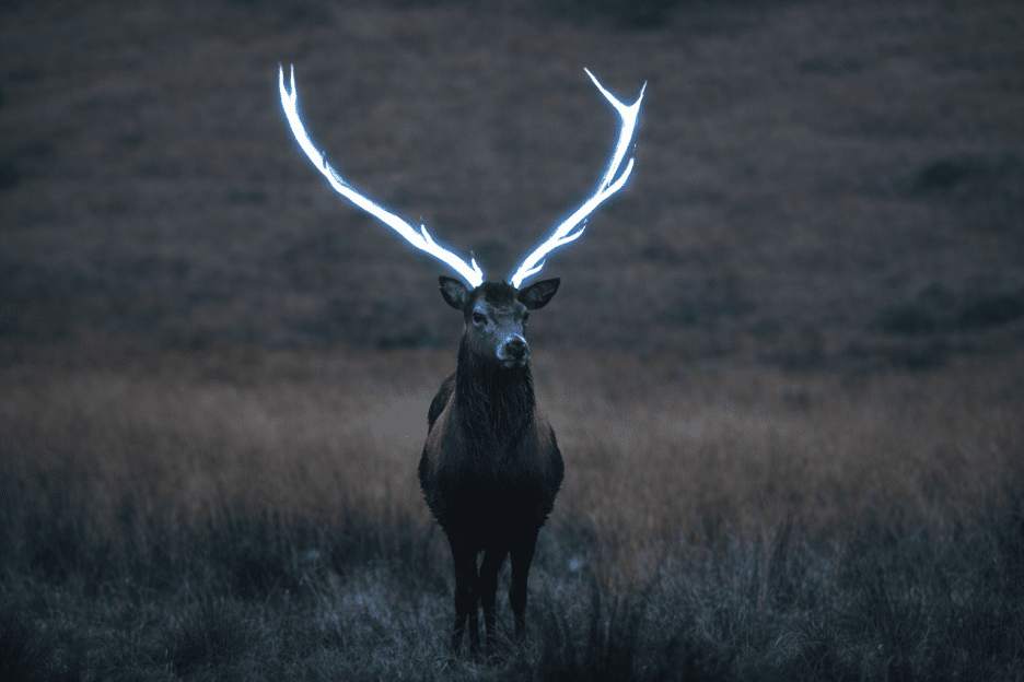 Argent Antlers