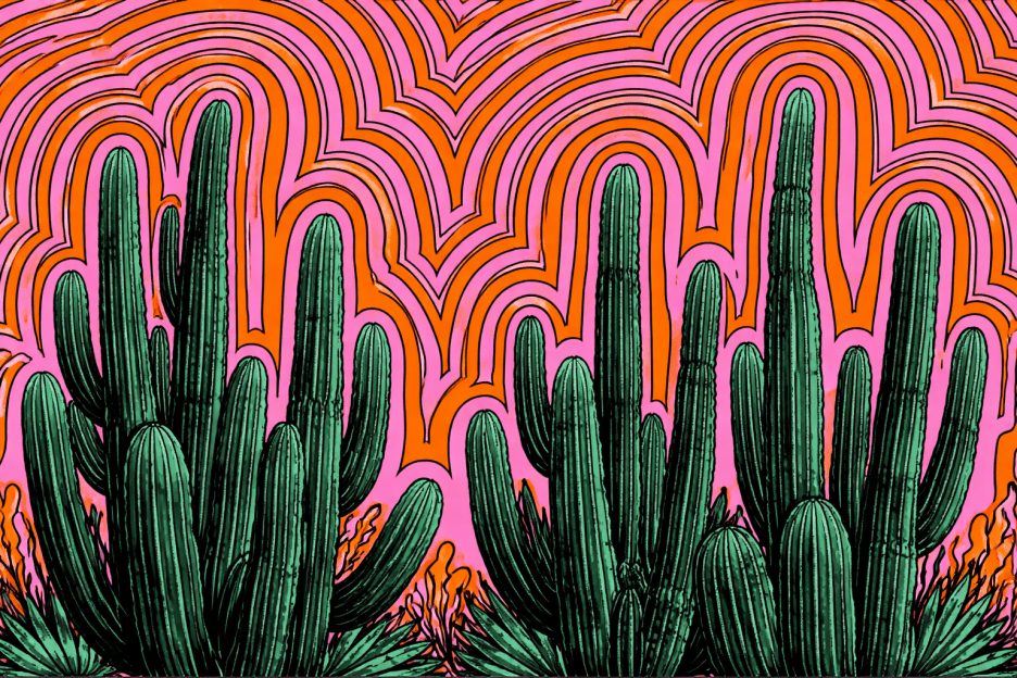 Cactus Mirage