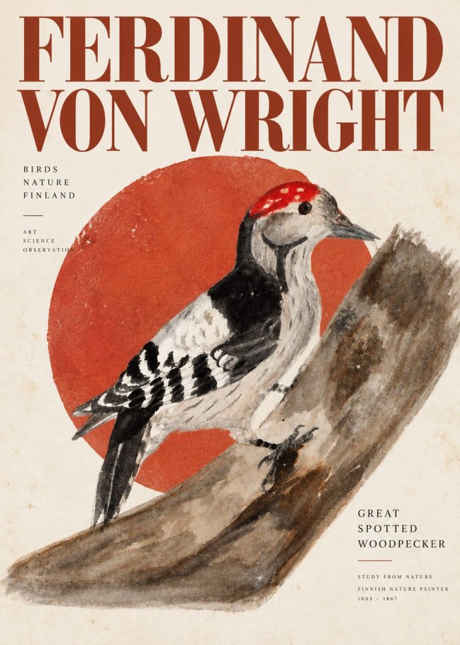 Ferdinand von Wright Woodpecker Study No6 - Póster