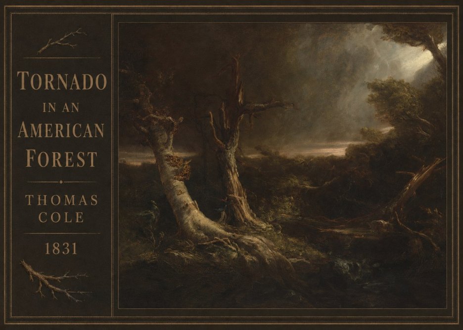 Thomas Cole Tornado in an American Forest No3 - Póster