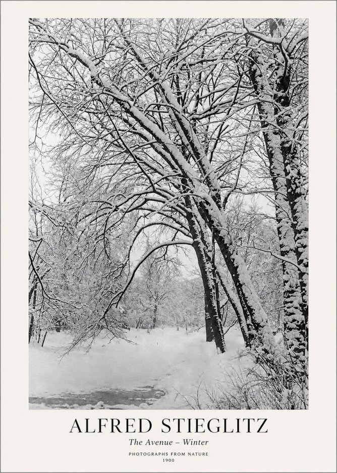 Alfred Stieglitz The Avenue – Winter No1 - Póster