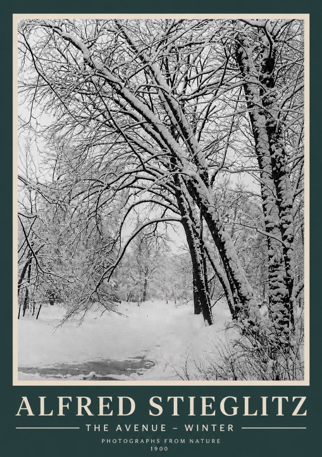 Alfred Stieglitz The Avenue – Winter No3 - Póster