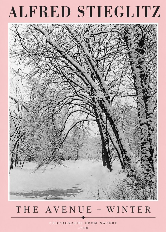 Alfred Stieglitz The Avenue – Winter No4 - Póster