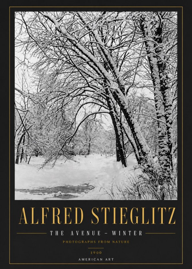 Alfred Stieglitz The Avenue – Winter No6 - Póster