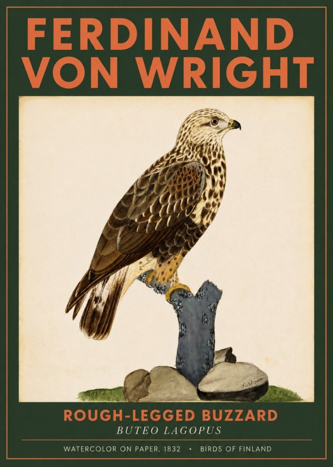 Ferdinand von Wright Rough-legged Buzzard No2 - Póster
