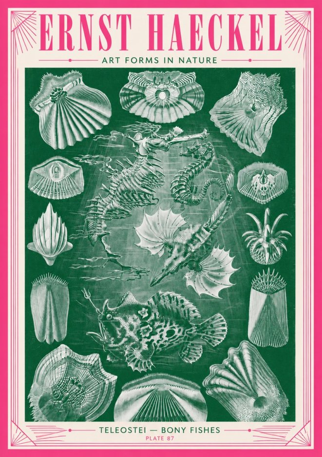Ernst Haeckel Teleostei - Bony Fishes No3 - Póster