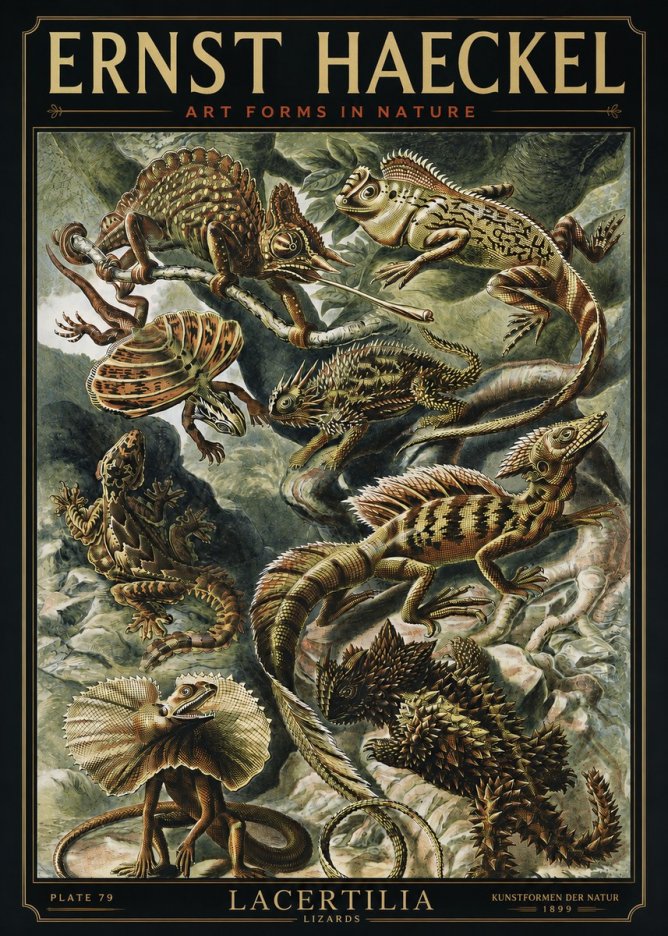 Ernst Haeckel Lacertilia Lizards No3 - Póster