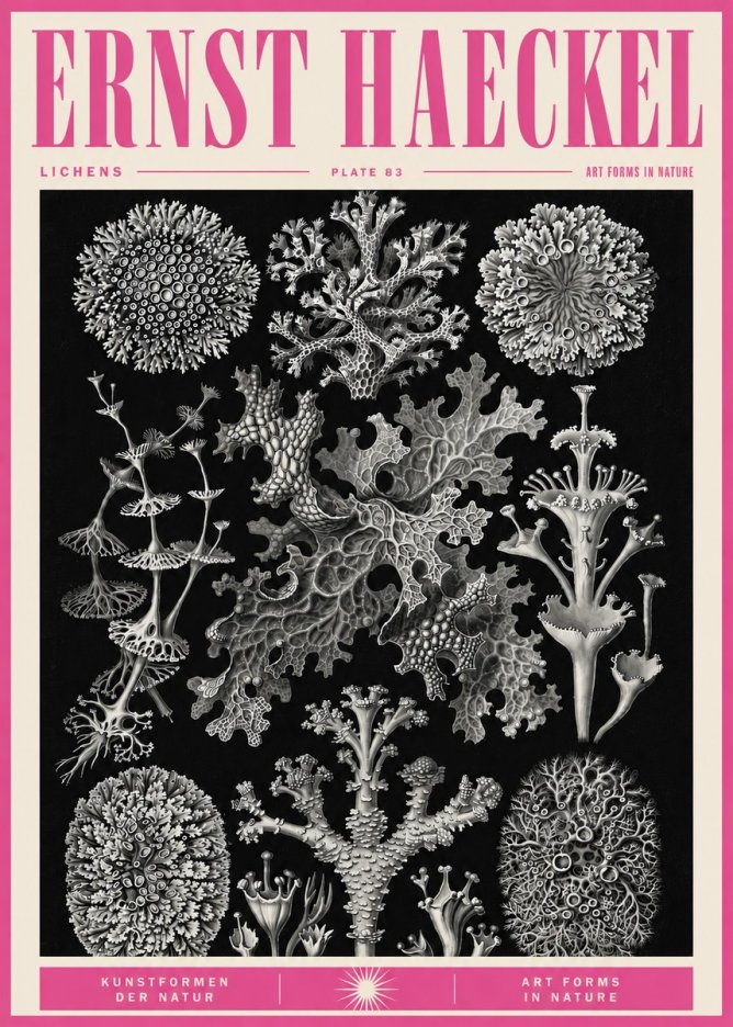 Ernst Haeckel Lichens - Plate 83 No5 - Póster