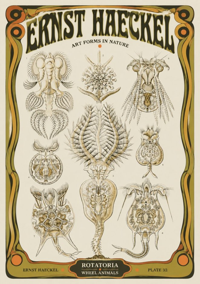 Ernst Haeckel Rotatoria - Wheel Animals No5 - Póster
