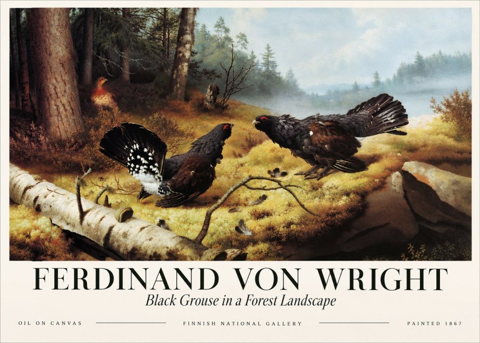 Ferdinand von Wright Black Grouse in a Forest Landscape No3 - Póster
