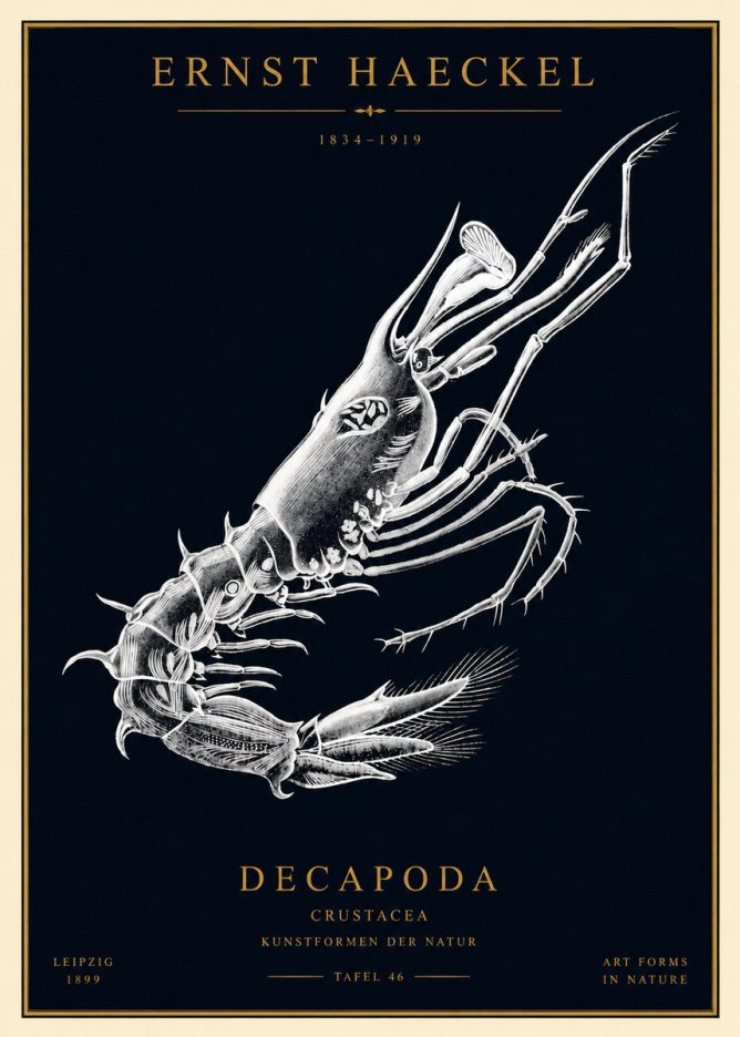 Ernst Haeckel Decapoda the Crustaceans No4 - Póster