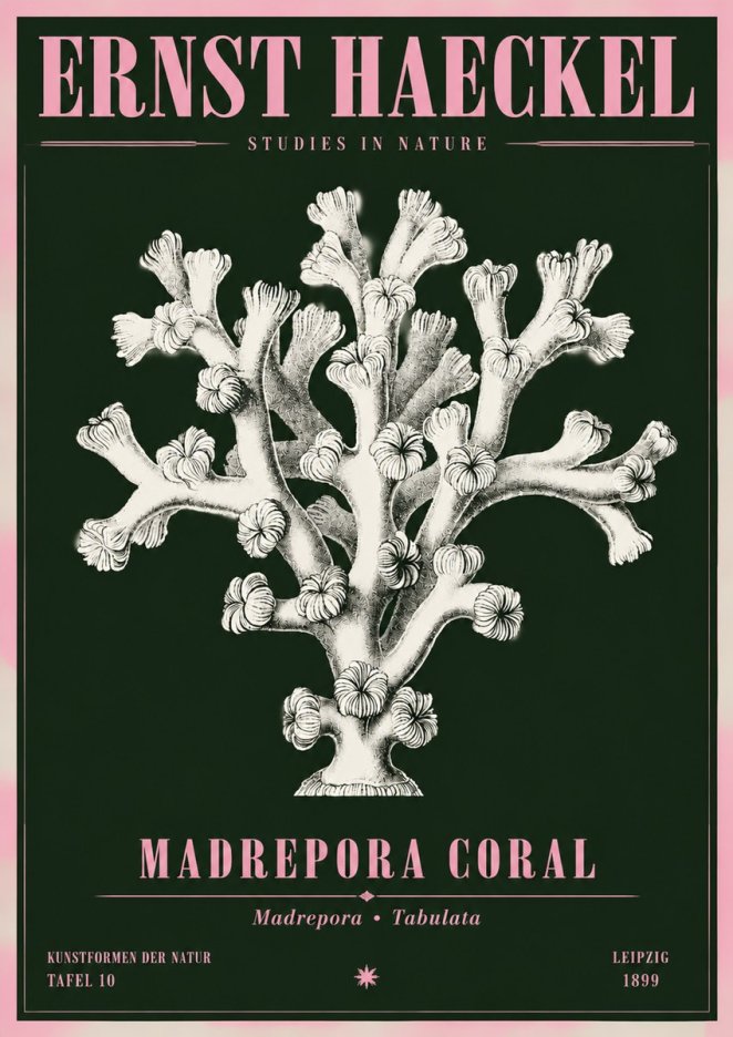 Ernst Haeckel Corallium Rubrum I No5 - Póster