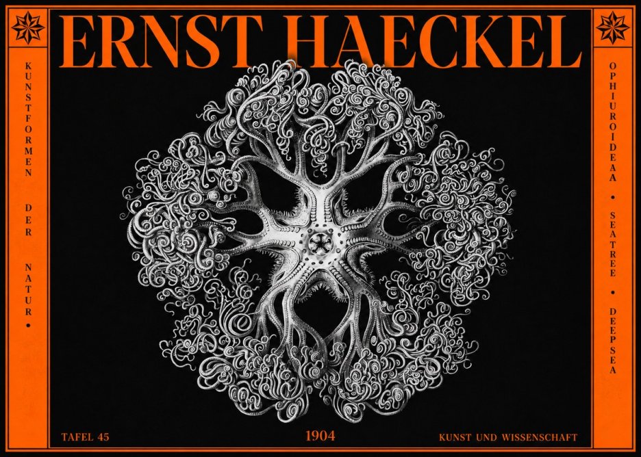 Ernst Haeckel Ophiuroidea Sea Tree - Deep Sea No2 - Póster