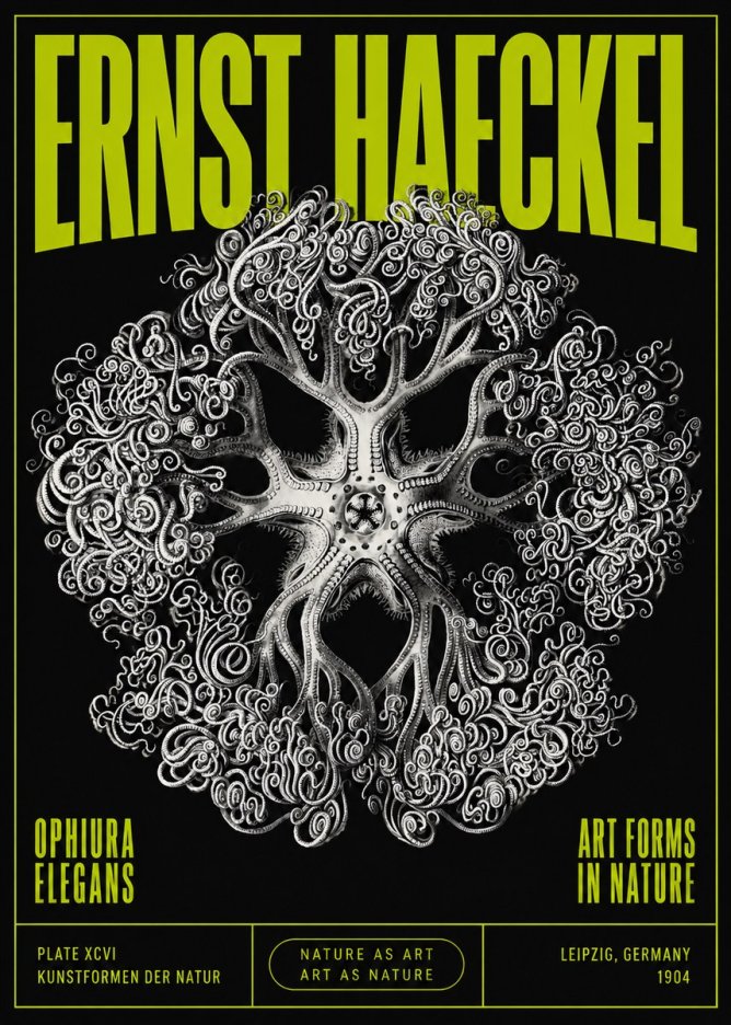 Ernst Haeckel Ophiuroidea Sea Tree - Deep Sea No5 - Póster