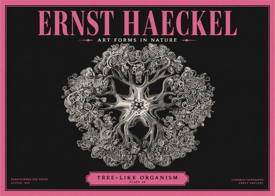 Ernst Haeckel Tree-like Organism No2 - Póster