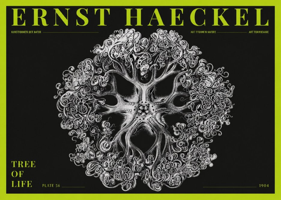 Ernst Haeckel Tree-like Organism No5 - Póster