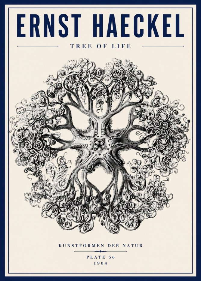 Ernst Haeckel Tree-like Organism No6 - Póster