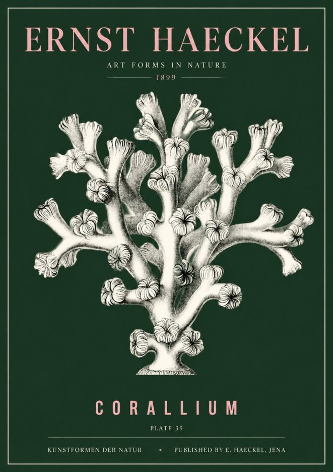 Ernst Haeckel Corallium Rubrum II No5 - Póster