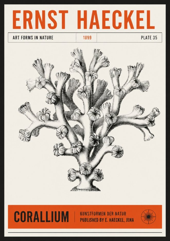 Ernst Haeckel Corallium Rubrum II No6 - Póster
