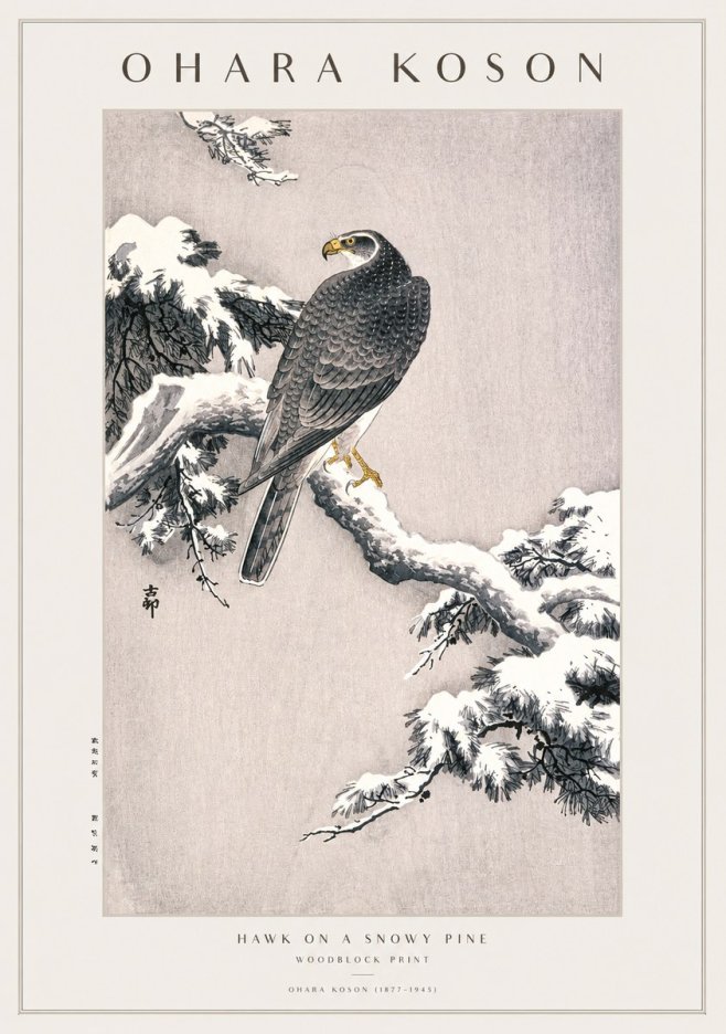 Ohara Koson Hawk on a Snowy Pine No1 - Póster