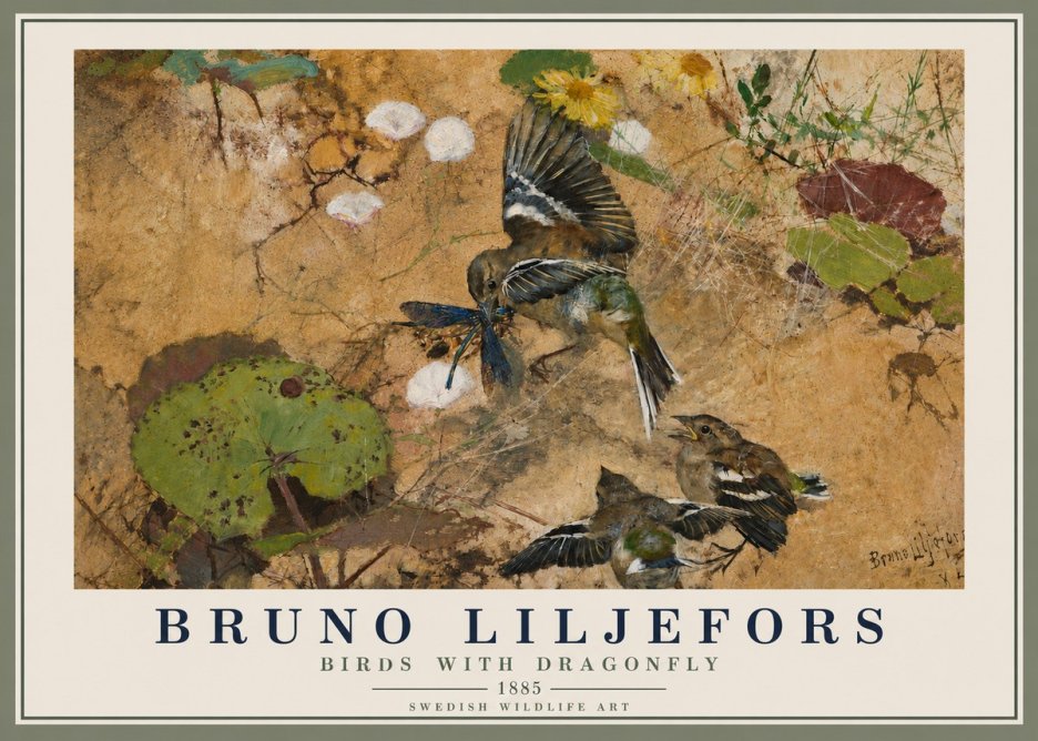 Bruno Liljefors Birds with Dragonfly No4 - Póster