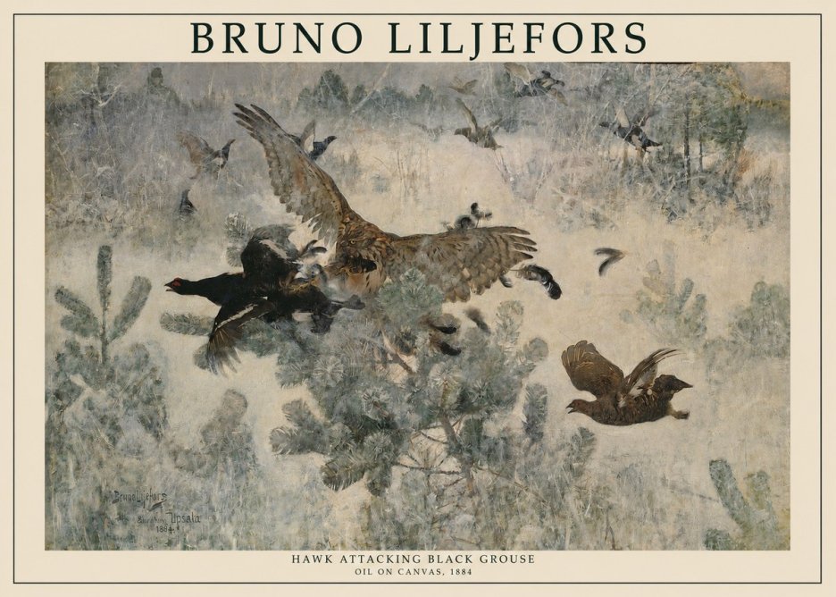 Bruno Liljefors Hawk Attacking Black Grouse No1 - Póster