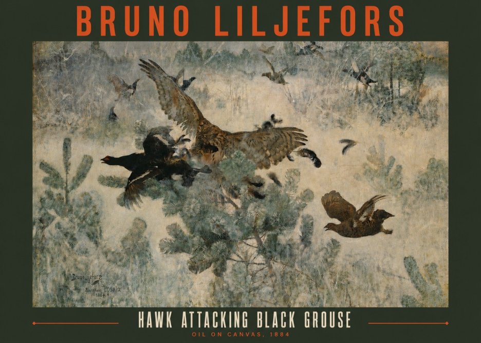 Bruno Liljefors Hawk Attacking Black Grouse No2 - Póster