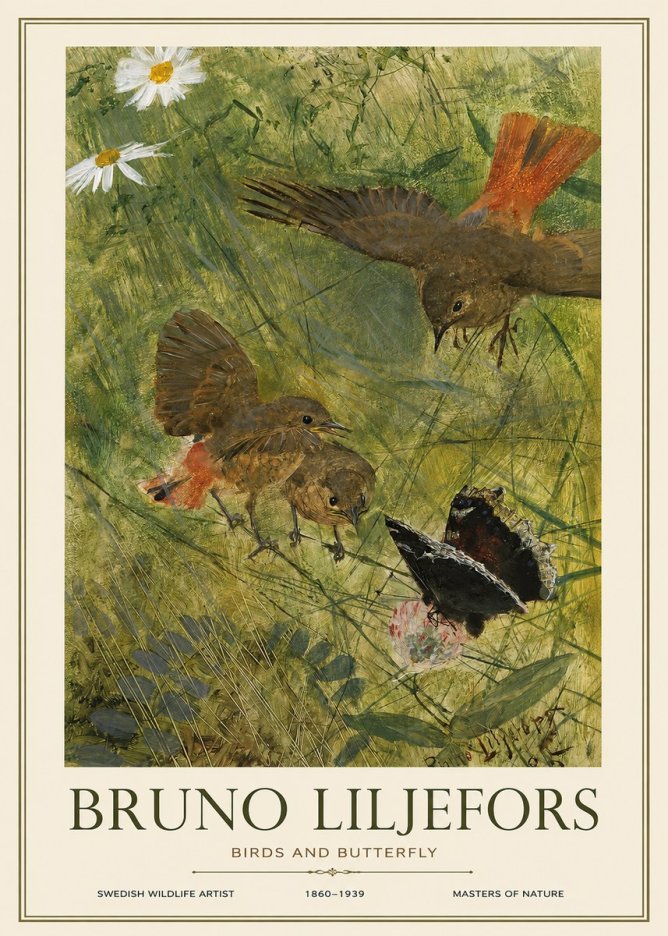 Bruno Liljefors Birds and Butterfly No1 - Póster