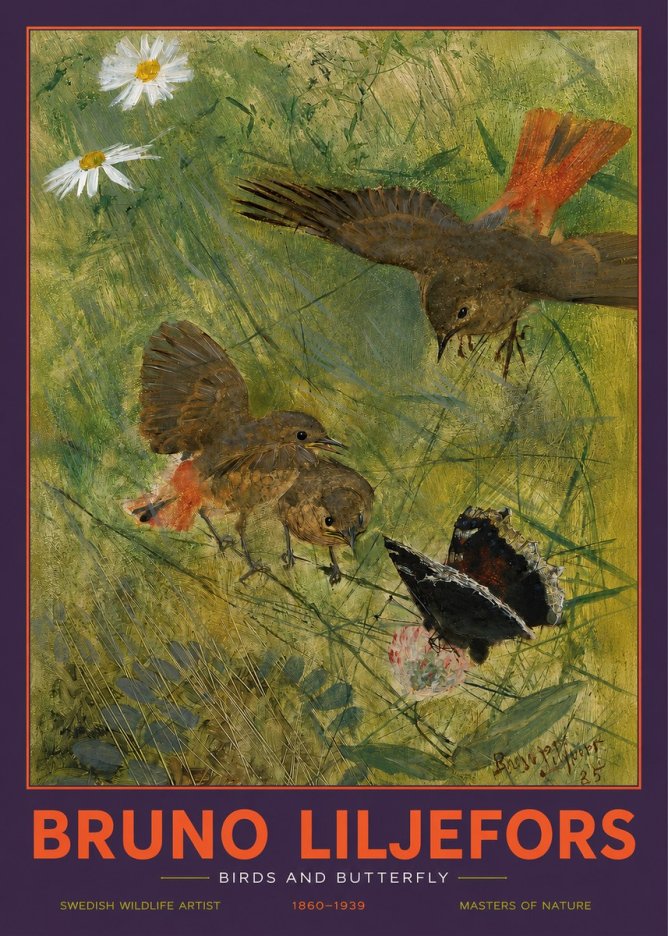 Bruno Liljefors Birds and Butterfly No2 - Póster